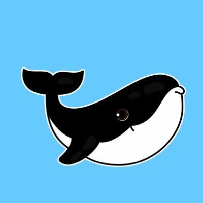 WHALE 🐳 EVERYTHING