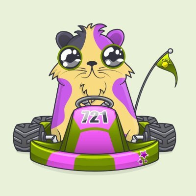 cryptokaiguy