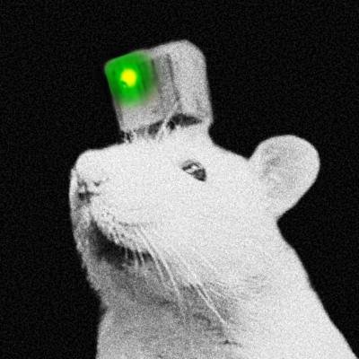 NEIRY