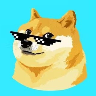 DOGE OG