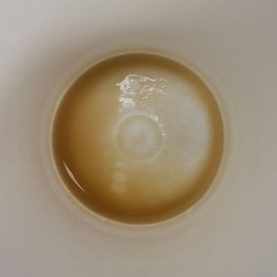 COFFEE CAPITAL