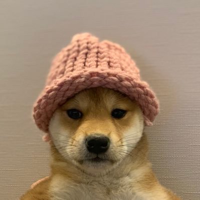 achichu
