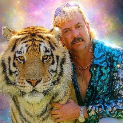 Fan Tiger King Coin