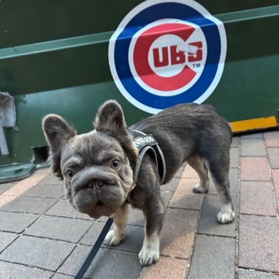 doitbigchicago