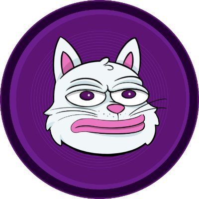 TON CAT