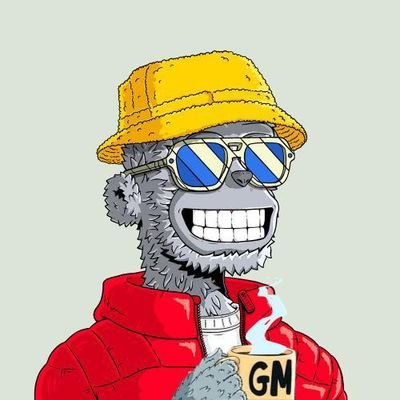 coin doctor 🪙 💰