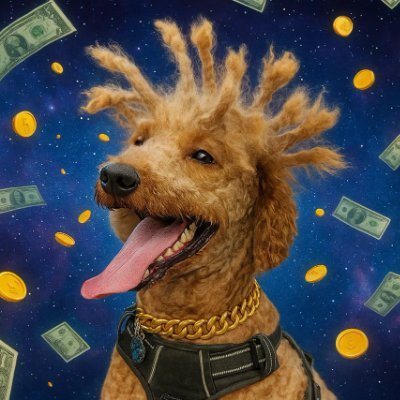 Yuno The Dog | SOL