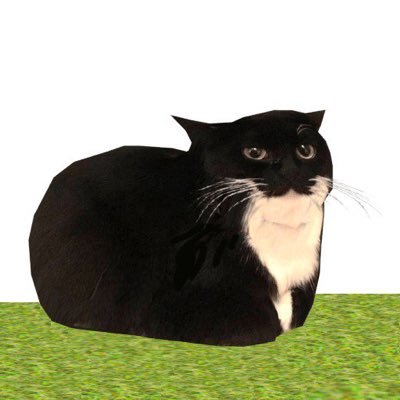$SPINCAT on SOL