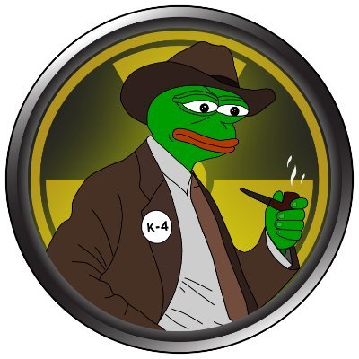 HEIMER THE PEPE 🐸☢️