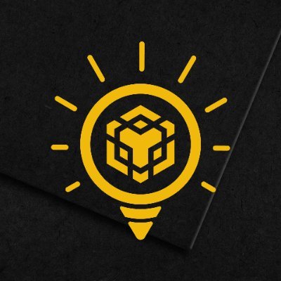 BNB Insights