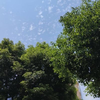 顺势而为