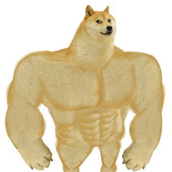 Swole Doge