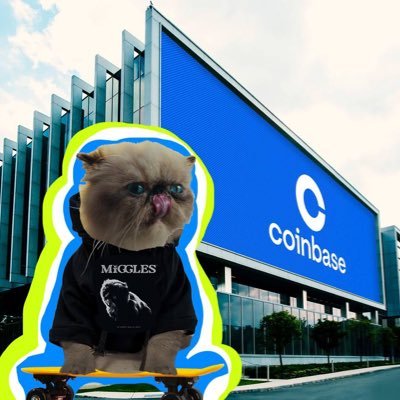 Newton Future Calls 🚀