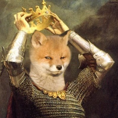 karbon 🐺🦊