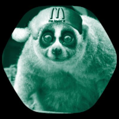 Loris