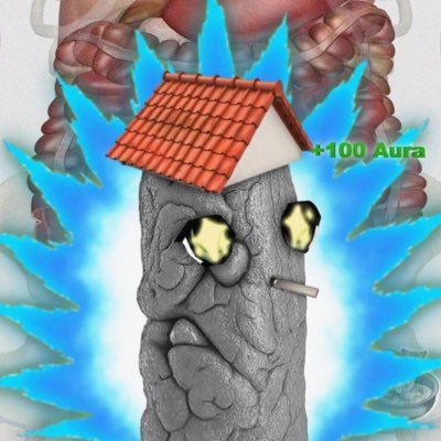 bool(poop aura guy)