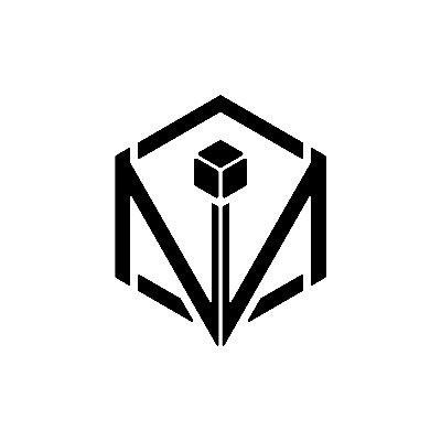 ValidatorVN