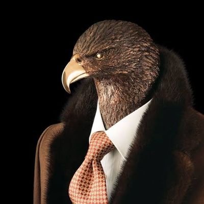 M A G N A T E 🦅