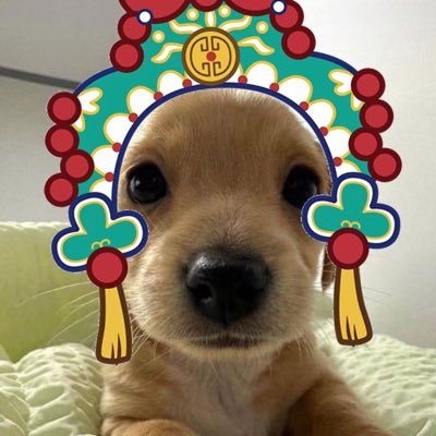 比利老高