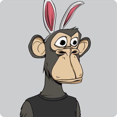 Board Apes ๐๐ฆ๐จโจ