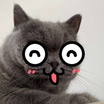 猫老师scupt