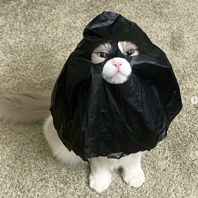 土狗肝