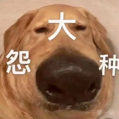 大冤种 🔶BNB