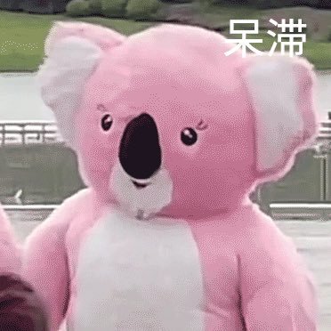 麻瓜猪皮怪⚛️