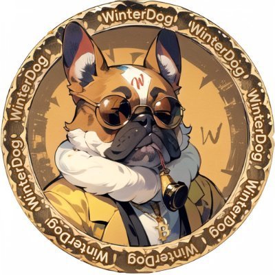 稳狗日记｜ Winterdog 🐕
