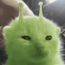 rob