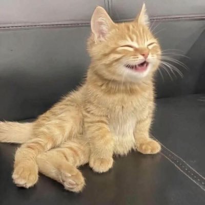 Pablo