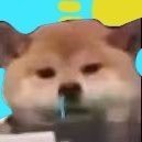 句跃（金）