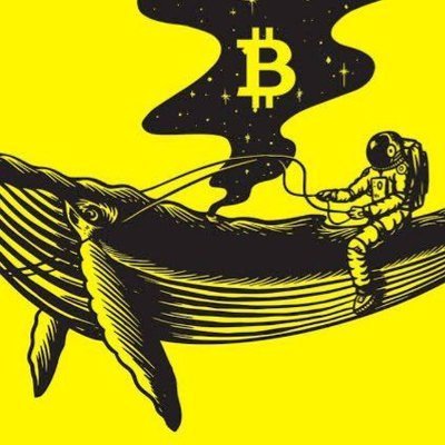 Whales_Crypto_Trading 🐋