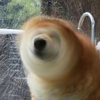 猫笔刀