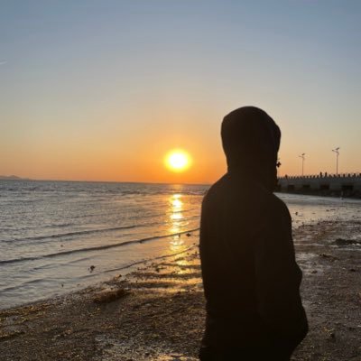 沙鱼成长