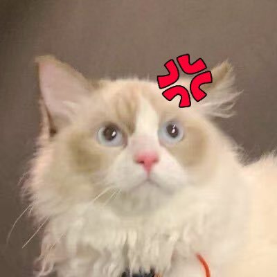 Rick / 一千万是只猫 💢 🧩 $BARD