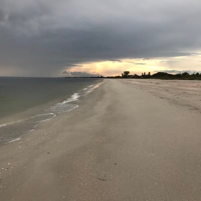 _BeachBum___
