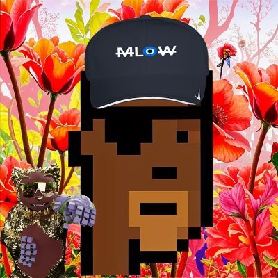 MLow 🌸
