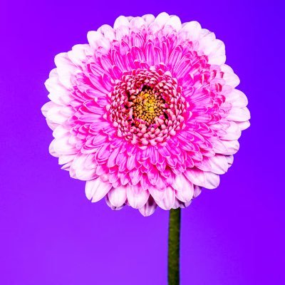 Billy McSmithers 💛✌️