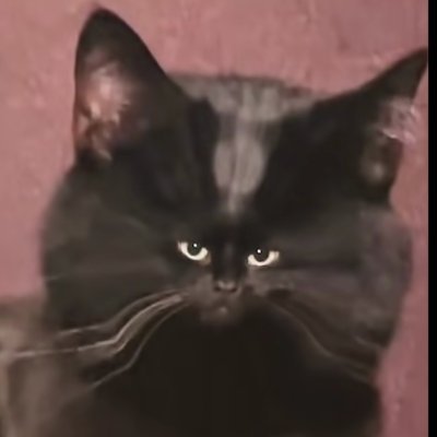 bob.hl