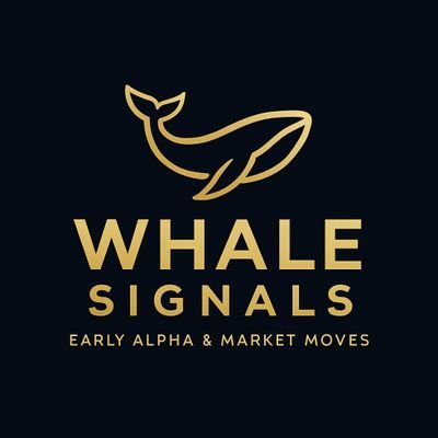 𝗪𝗛𝗔𝗟𝗘 | 𝗦𝗜𝗚𝗡𝗔𝗟𝗦 💿