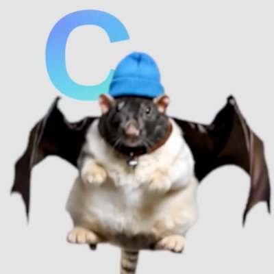 FatCatBatRatWifHat