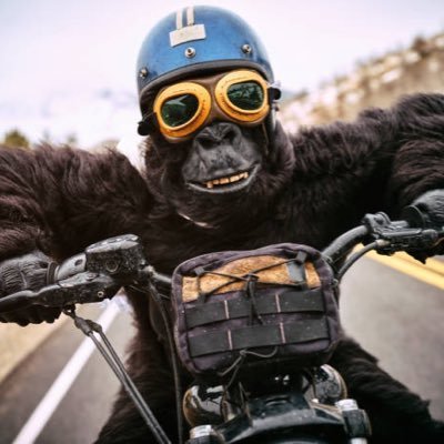 OG Crypto Boss💥
