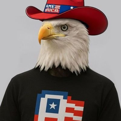 CyberAOLic💾🗽🇺🇸🦅