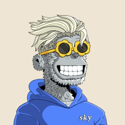 PolygonPlayer 🎨🪙📈