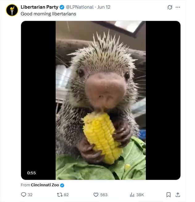 Mention image