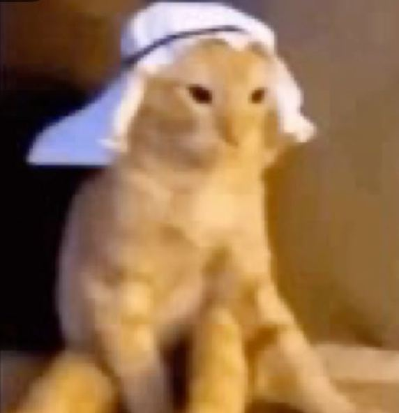 Mention image