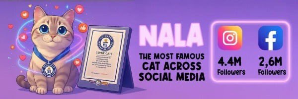 Mention image