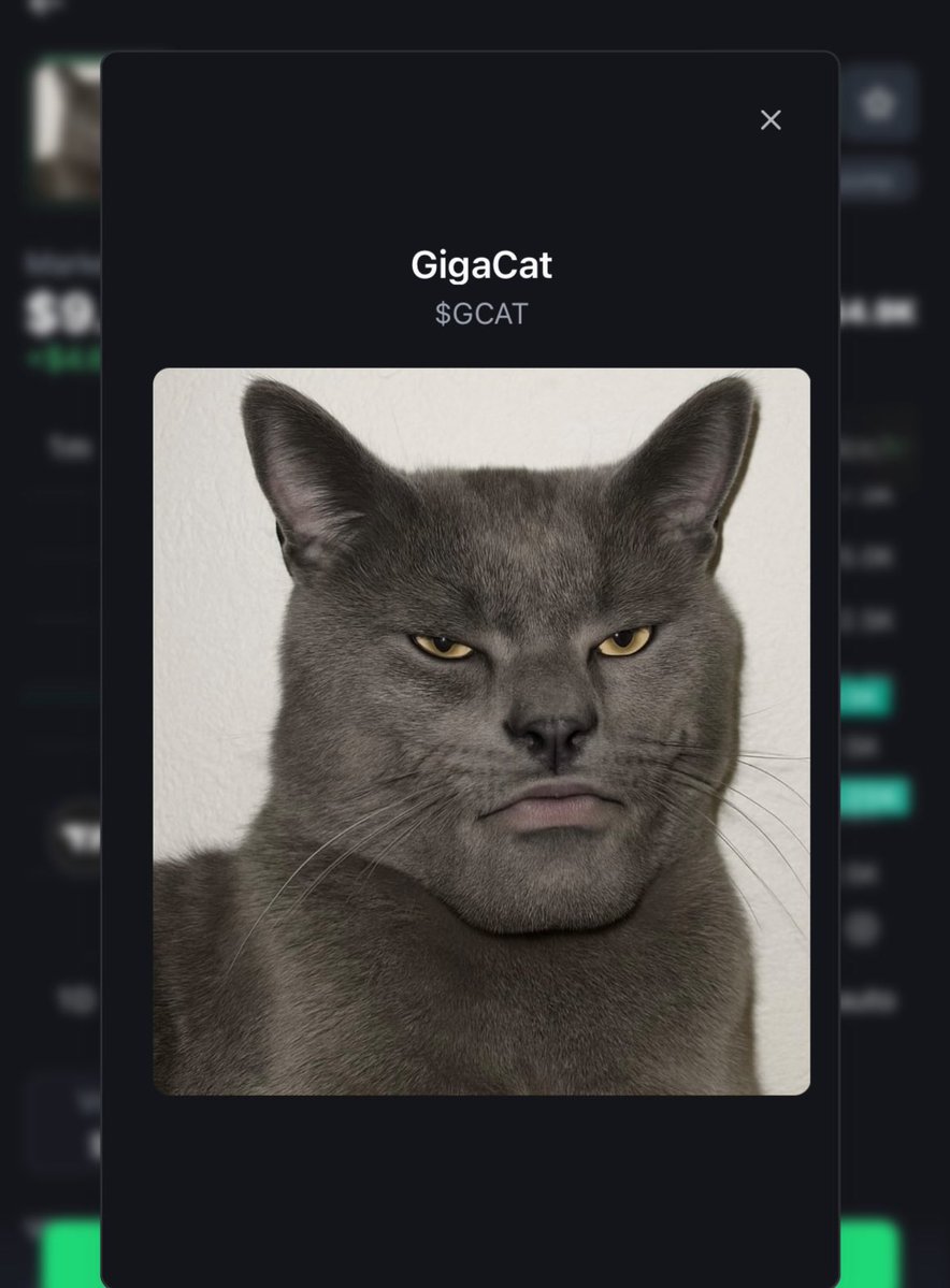 Mention image