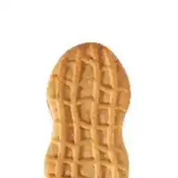 Mention image